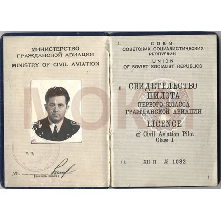 Свидетельство пилота Свидетельство пилота