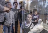 ВОРОН, СОВА И ДРУГИЕ ПЕРНАТЫЕ ВОРОН, СОВА И ДРУГИЕ ПЕРНАТЫЕ
