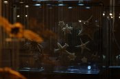 НОЧЬ… БЫЛО СТРАШНО ИНТЕРЕСНО НОЧЬ… БЫЛО СТРАШНО ИНТЕРЕСНО